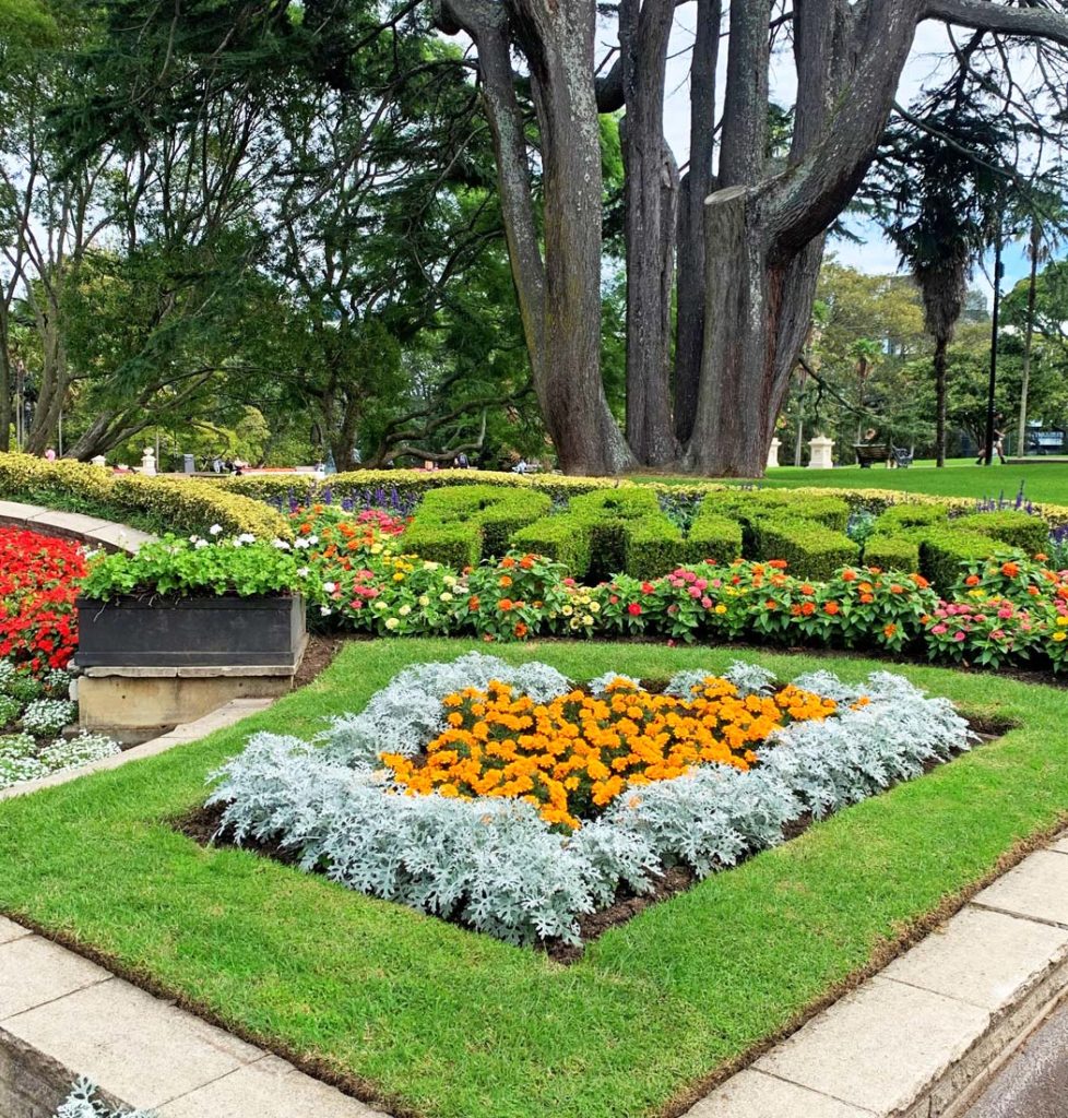 High profile garden in Auckland City